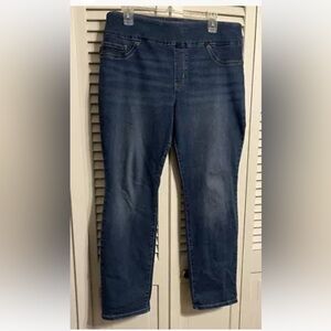 Lee Women's Jeans, Blue Denim Slim Fit/Slim Leg/Mid Rise/Sculpting, Sz 16 Short